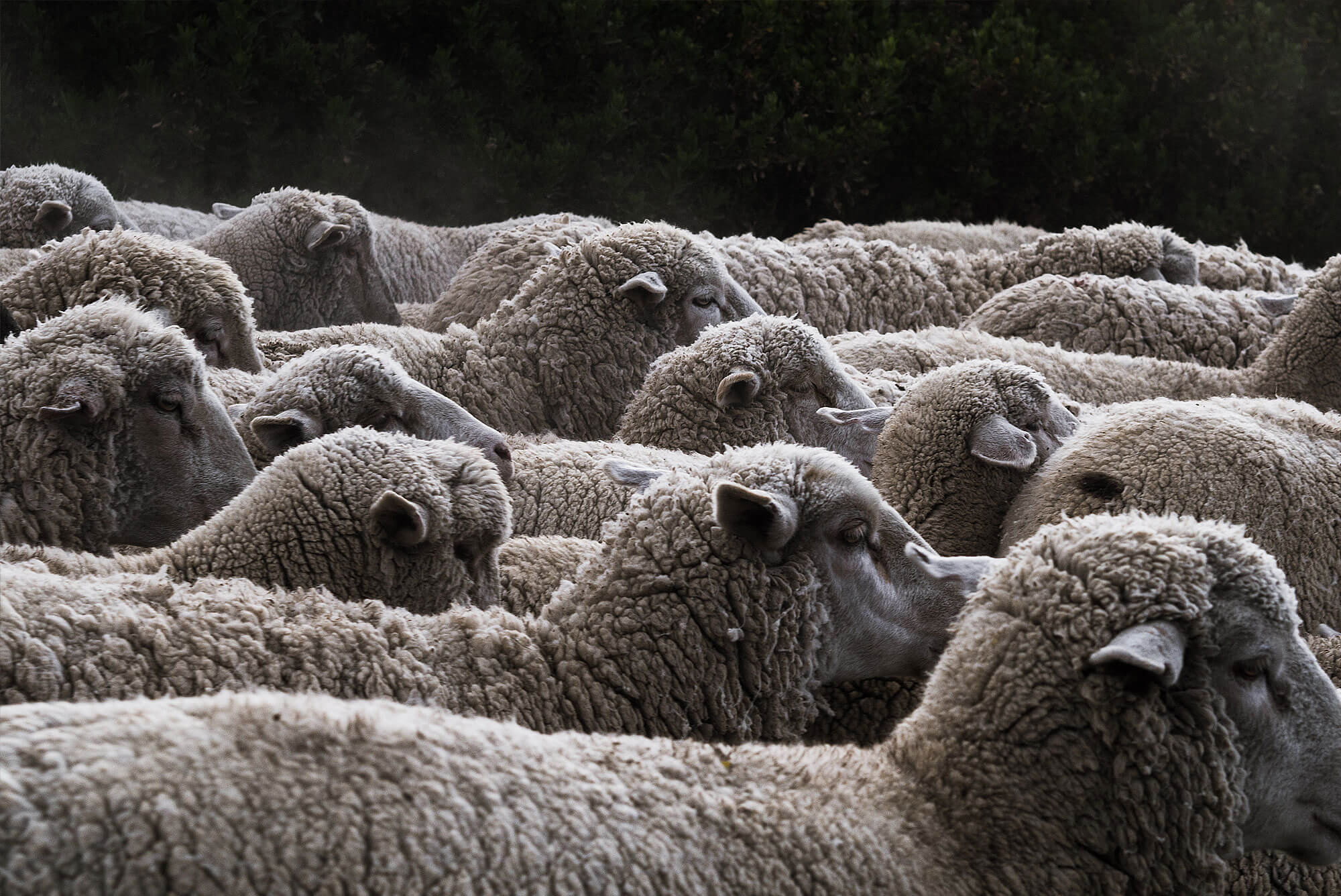 Visualising Untapped Suppliers